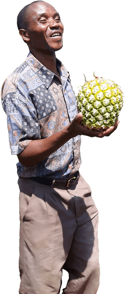 A Ugandan farmer holding a pineapple